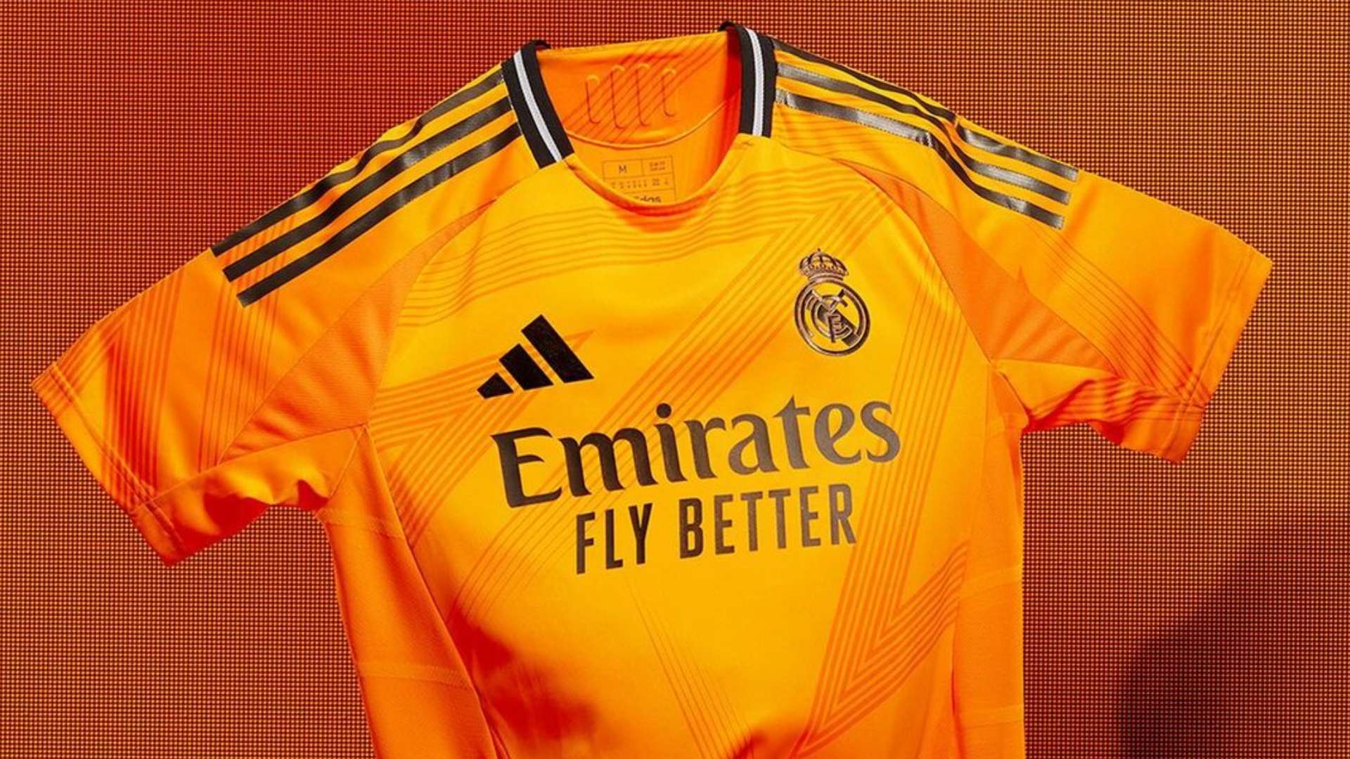 两国方案 两国方案